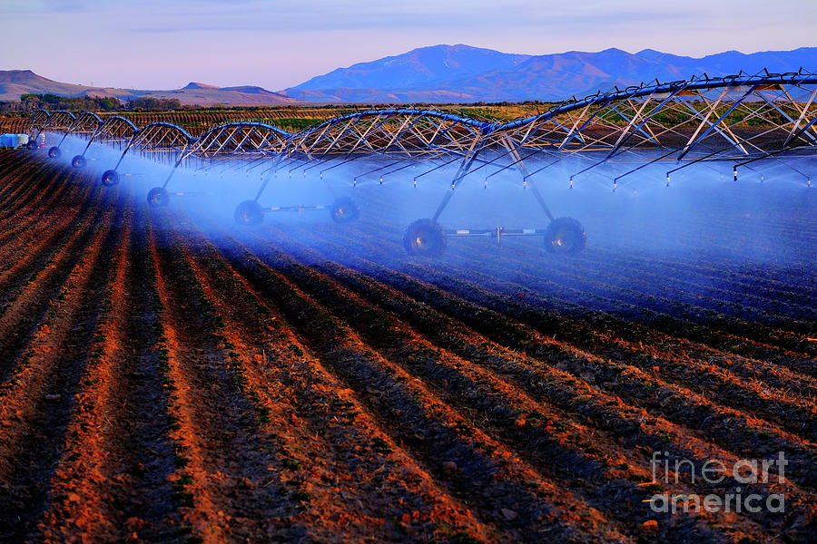 Farming Sprinklers in Field Irrigation and Watering of Crops Piv #2 Photograph by Lane Erickson