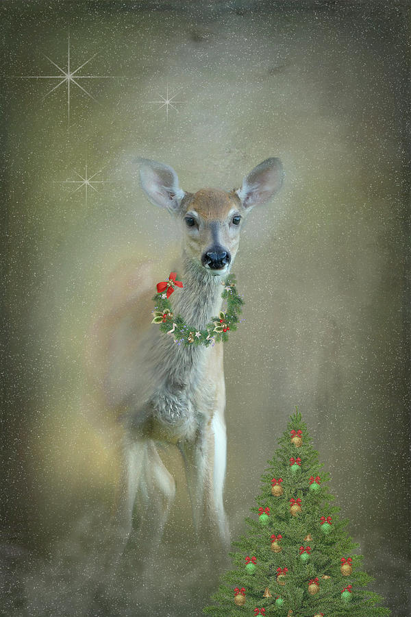 Fawn Painting #2 Photograph by Sandra Js