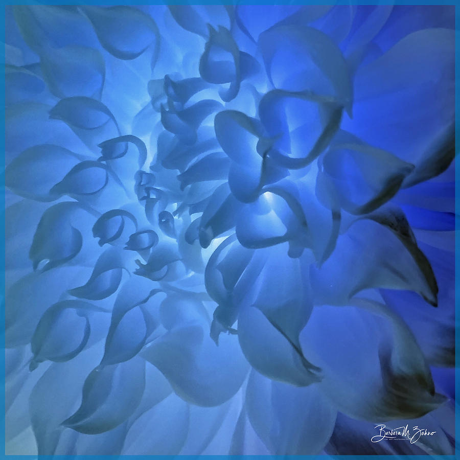 Feeling Blue #3 Photograph by Barbara Zahno