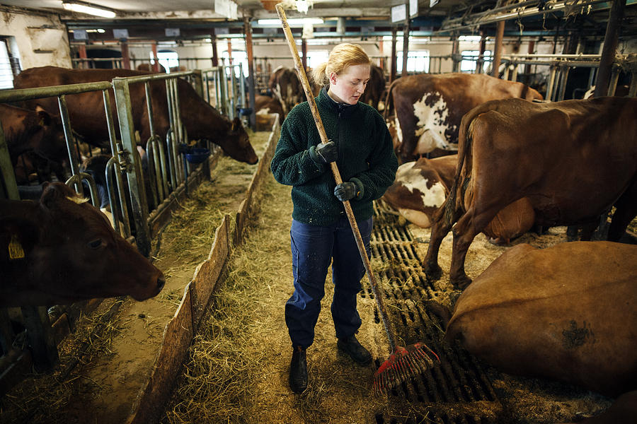 Female dairy farmer #2 Photograph by Anders Andersson
