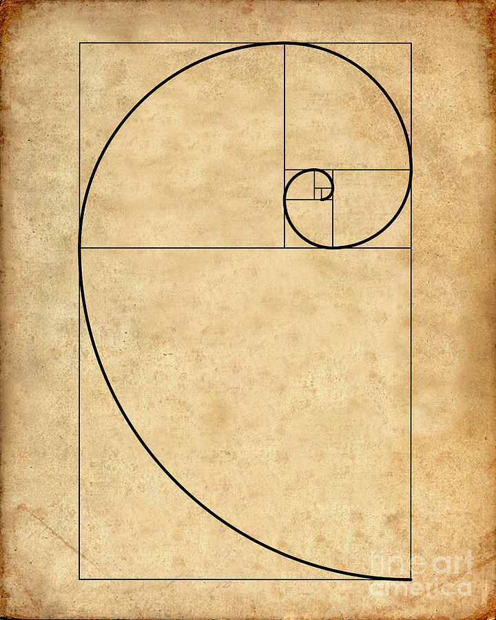 fibonacci spiral design