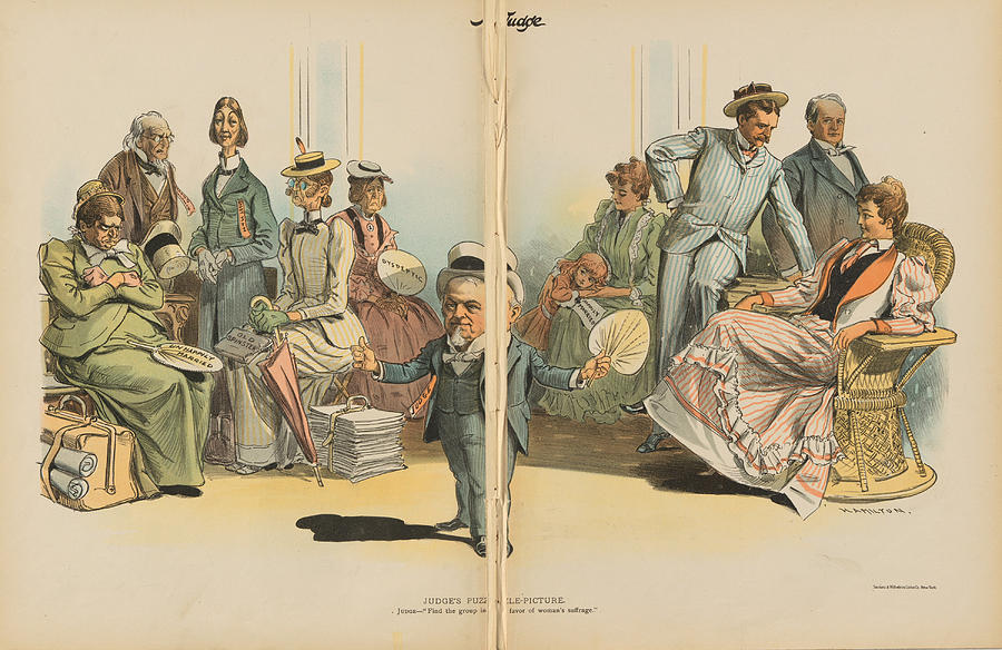 Find the Group in Favor of Woman's Suffrage Drawing by Grant E Hamilton ...