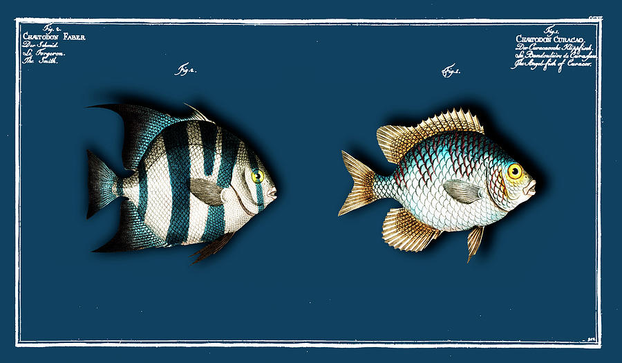 2 Fishes Painting by Tony Rubino