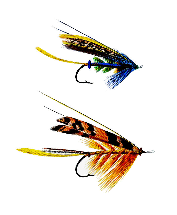 2 Fishing Flies Digital Art