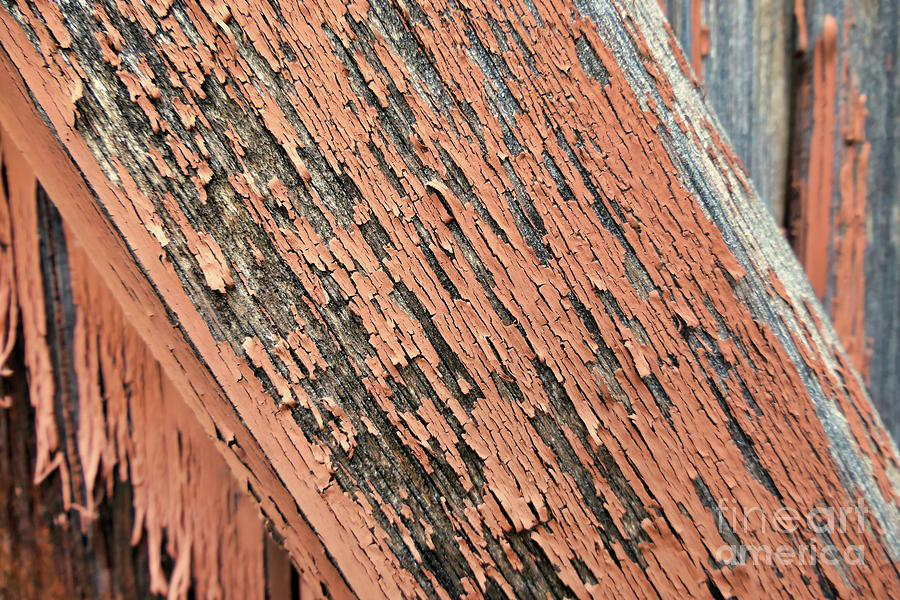 Flaky Paint Photograph by Stephen Farhall Fine Art America