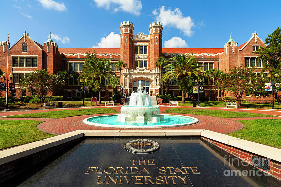Florida State University #2 Photograph by Raul Rodriguez