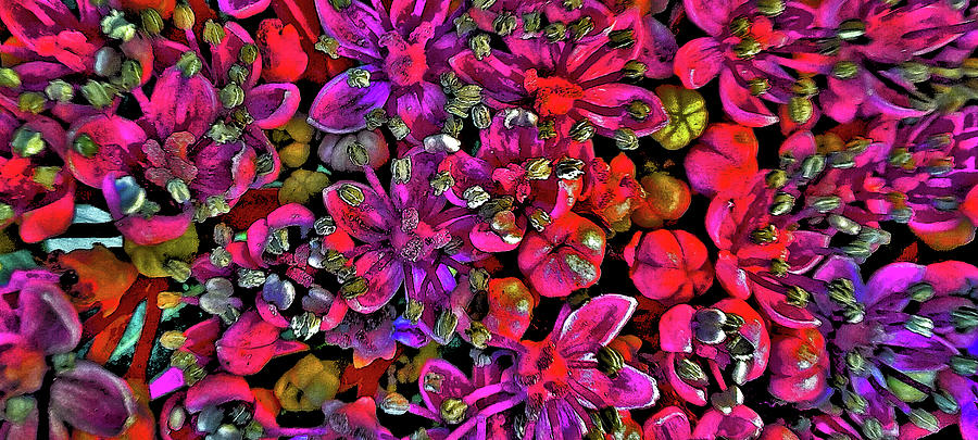 Flowers Still Life Digital Art - Flower Carpet. #2 by Andy i Za