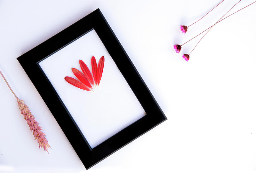 Flower composition with black photo frame on a white background. #2 Photograph by Michalakis Ppalis