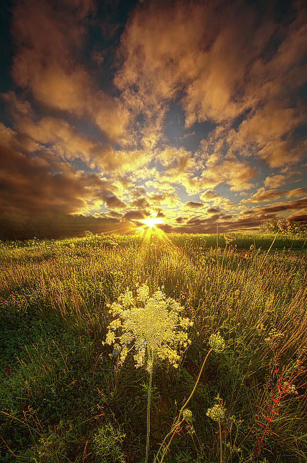 Forever and a Day #2 Photograph by Phil Koch