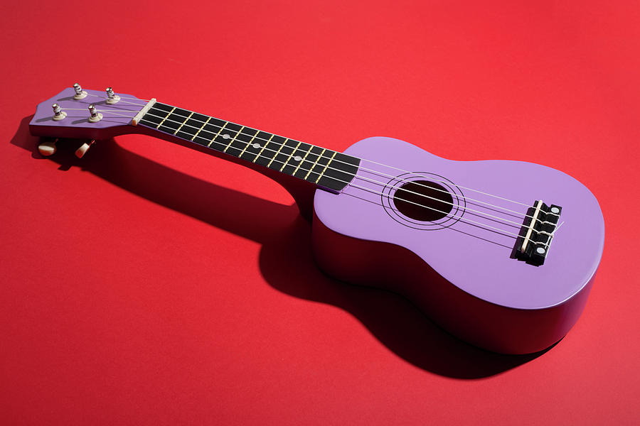 Four string ukulele guitar Photograph by Valentin Ivantsov Fine Art