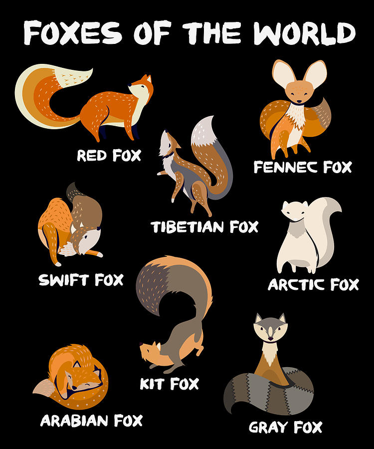 Foxes Of The World Cute Fox Breeds Animals Educational Digital Art by ...