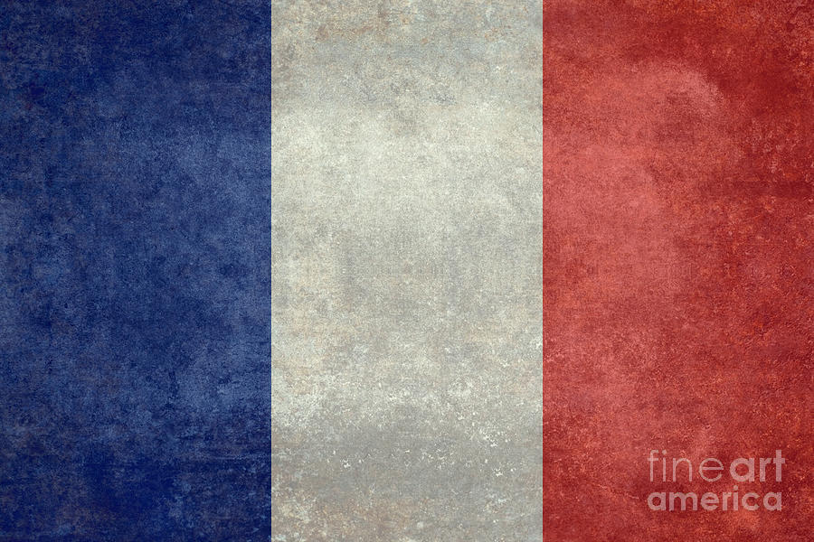 French Flag of France #2 Painting by Sterling Gold
