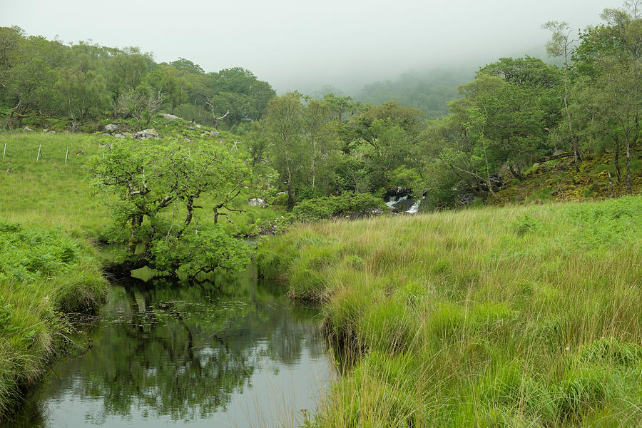 Fresh water creek in lush green valley, Killarney National Park #2 Photograph by David L Moore