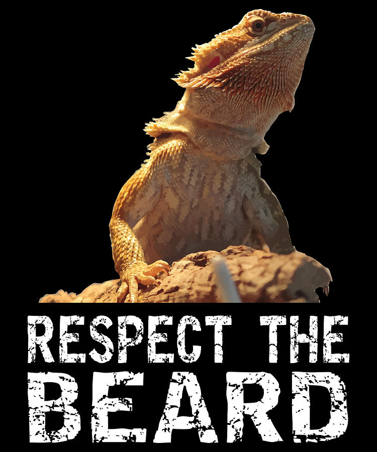 Funny Bearded Dragon Reptile Lizard Digital Art by Michael S - Pixels