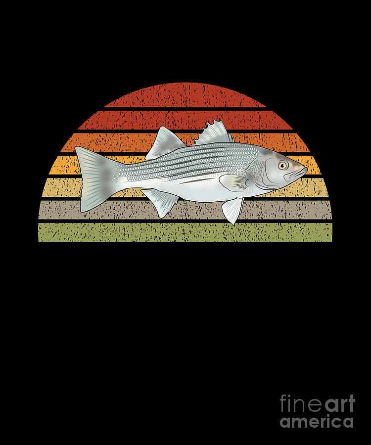 Funny Fish Sticker Striped Bass Boat Decal Bass Fishing Sticker Vinyl  Laptop Freshwater Fish Decal Gift for Fisherman Grandpa Fathers Day #2  Digital Art by Lukas Davis - Pixels