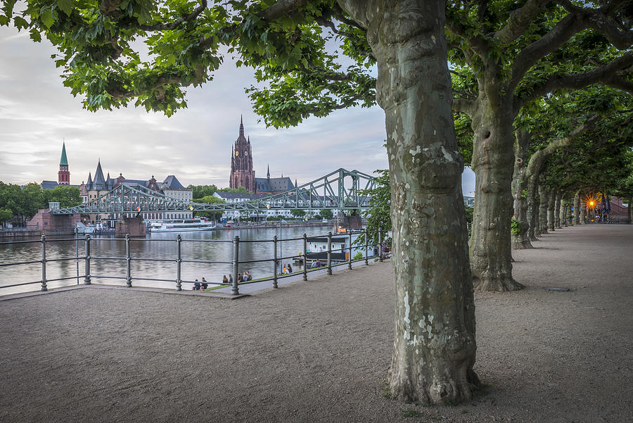 Germany, Frankfurt, view from Schaumainkai to Main River and Frankfurt Cathedral #2 Photograph by Westend61