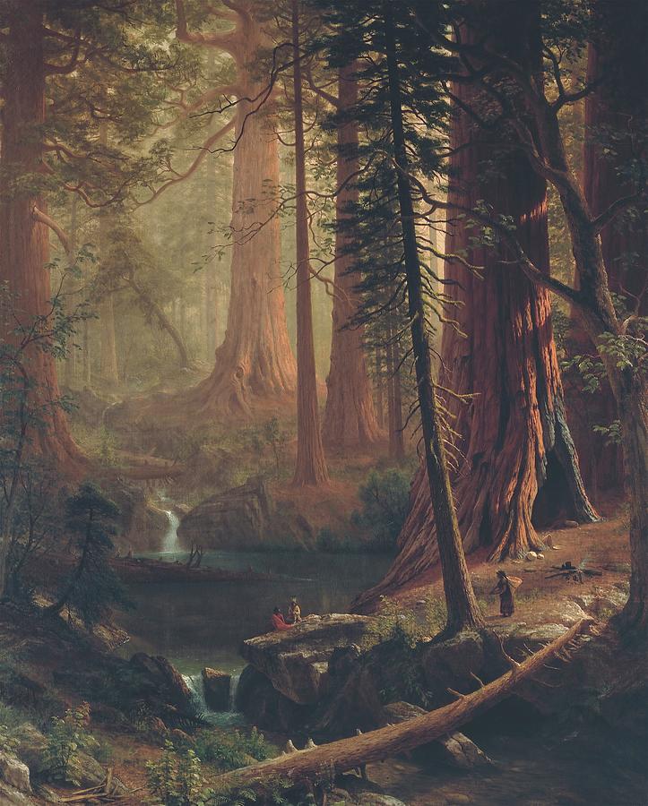Native American Painting - Giant Redwood Trees of California #2 by Albert Bierstadt