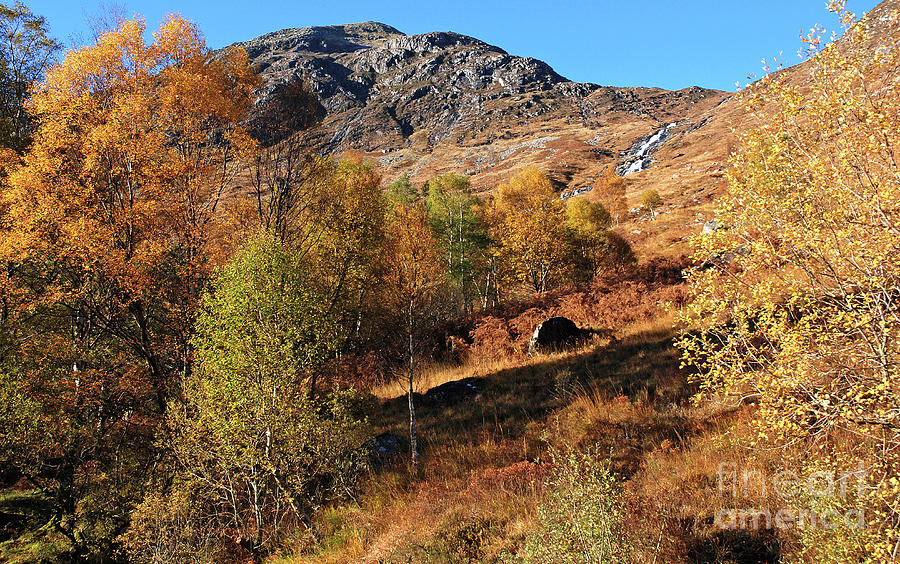 Autumn in Glen Nevis - Scotland Photograph by Phil Banks