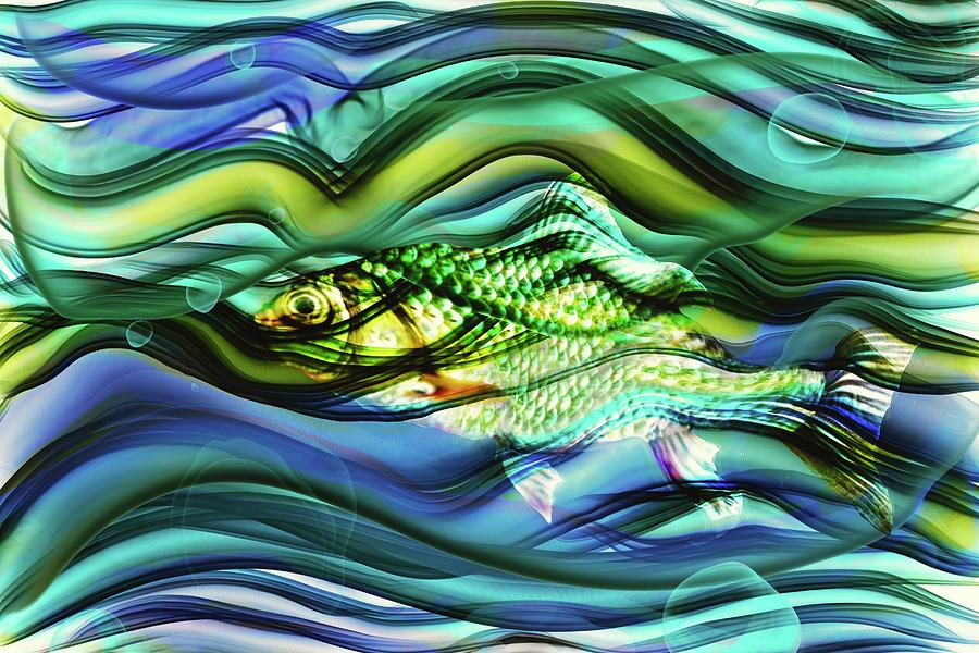Fish Digital Art - Go with the Flow #1 by Peggy Collins