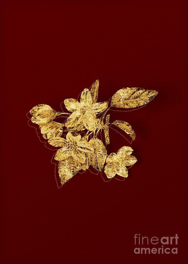 Gold Crabapple Botanical Illustration on Red #2 Mixed Media by Holy Rock Design