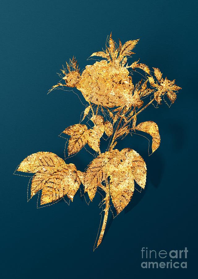 Gold Pink Agatha Rose Botanical Illustration on Teal #2 Mixed Media by Holy Rock Design