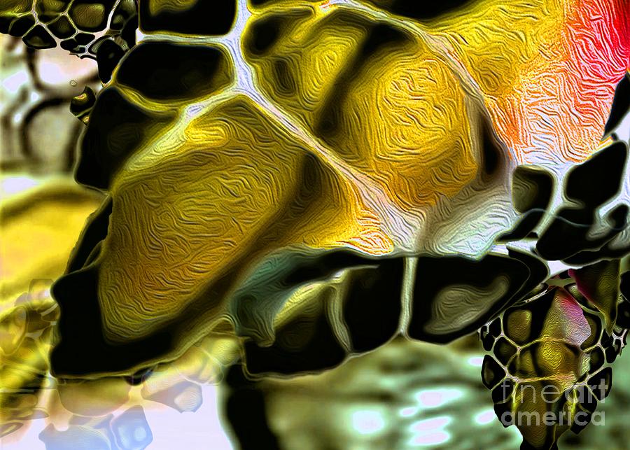 Golden Turtle 2 Digital Art by Aldane Wynter