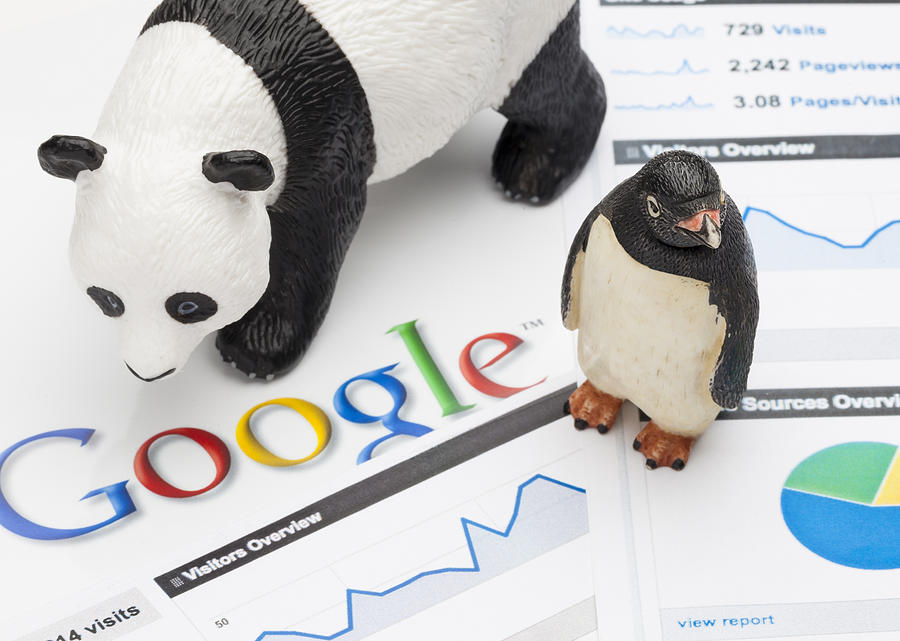 Google Panda and Penguin #2 Photograph by -Oxford-