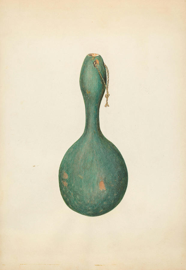Gourd Bottle #2 Drawing by Sydney Roberts - Fine Art America