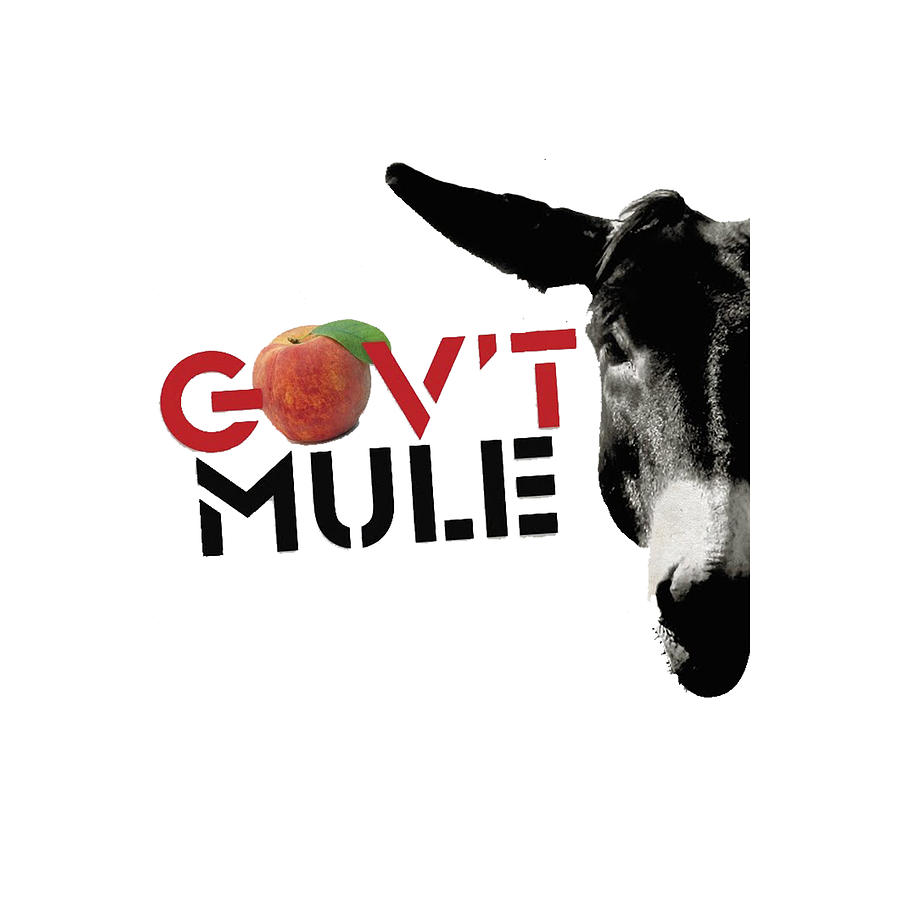 Pop Digital Art - Govt mule art #2 by Eric T Whitfield