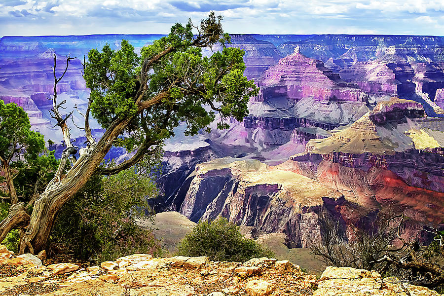 Grand Canyon -3 #2 Photograph by Alan Hausenflock