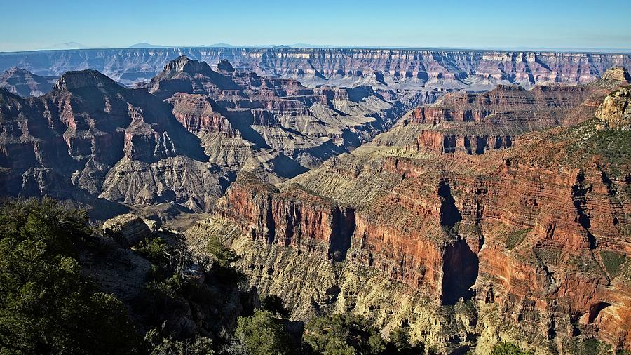 Grand Canyon North Rim #3 Photograph by Ronald Lutz