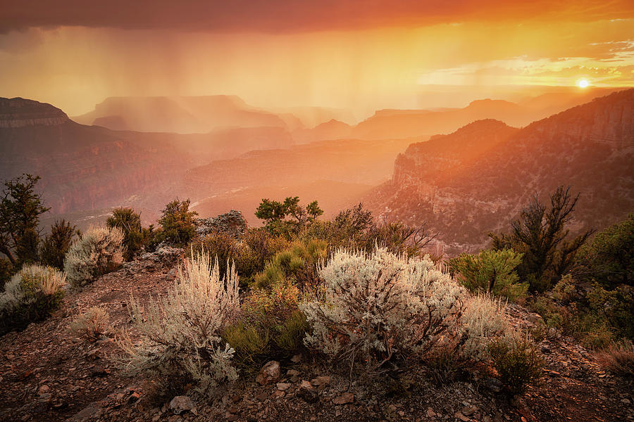 Grand Canyon Photograph by Whit Richardson