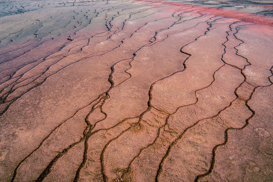 Grand Prismatic Spring in Yellowstone National Park #2 Photograph by Alex Grichenko