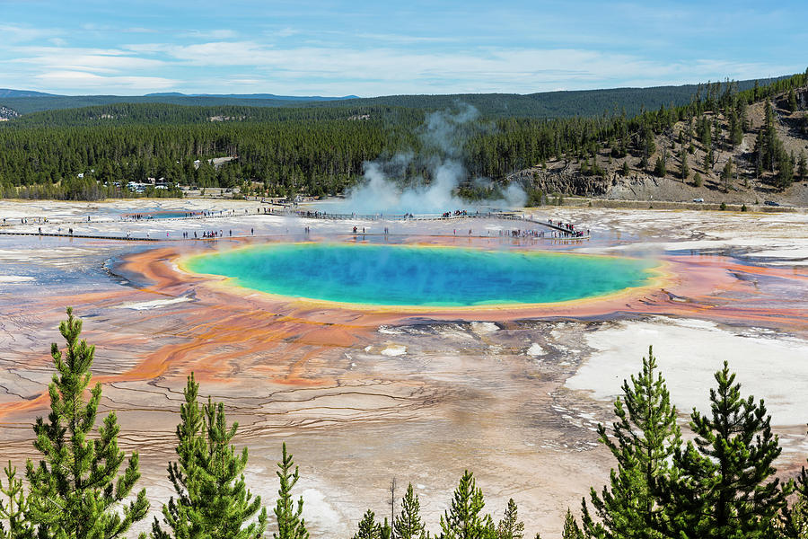 Grand Prismatic Spring Landscape Photograph by Patrick Barron - Fine ...