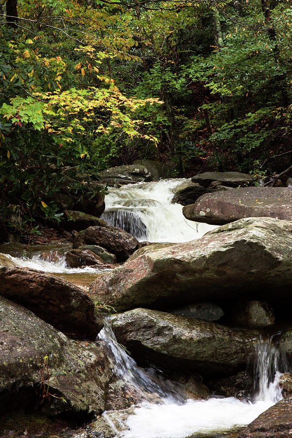 Grandfather Mountain Stream Photograph By Lisa Heishman 