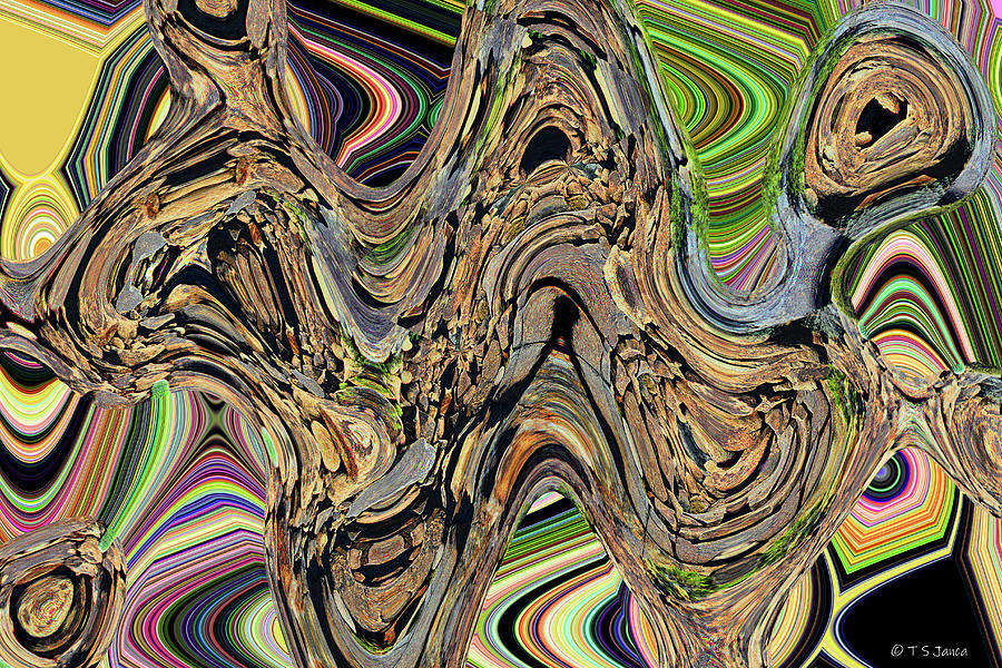Granite Boulders Abstract #2 Digital Art by Tom Janca