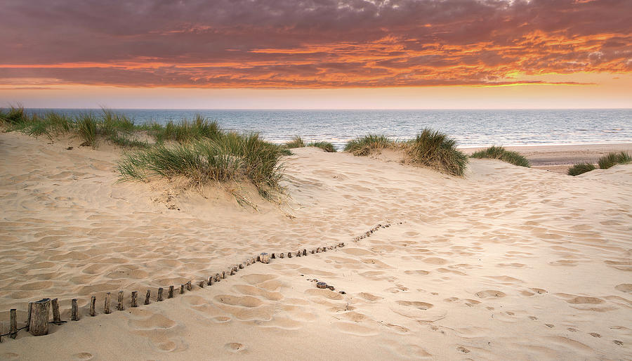 Grassy sand dunes landscape at sunrise Photograph by Matthew Gibson ...