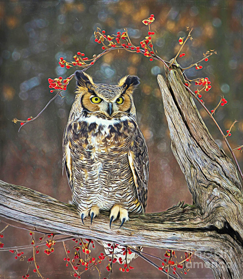 Great Horned Owl Ohio #3 Photograph by Teresa Jack