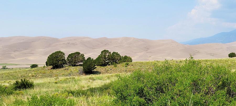 Great Sand Dunes National Park  #2 Photograph by Ally White