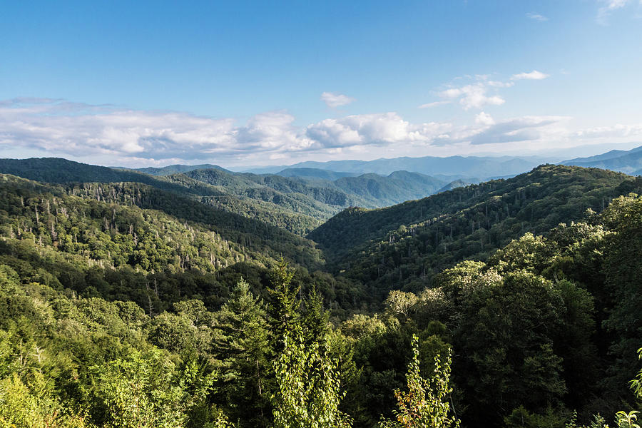 Great Smoky Mountain Landscape Photograph by Patrick Barron - Fine Art ...