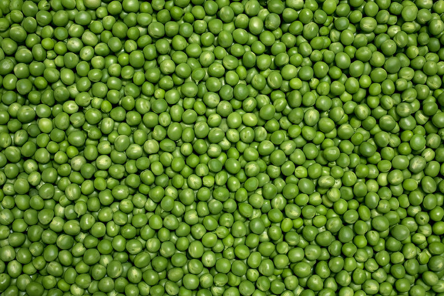 Green peas #2 Photograph by Sbayram