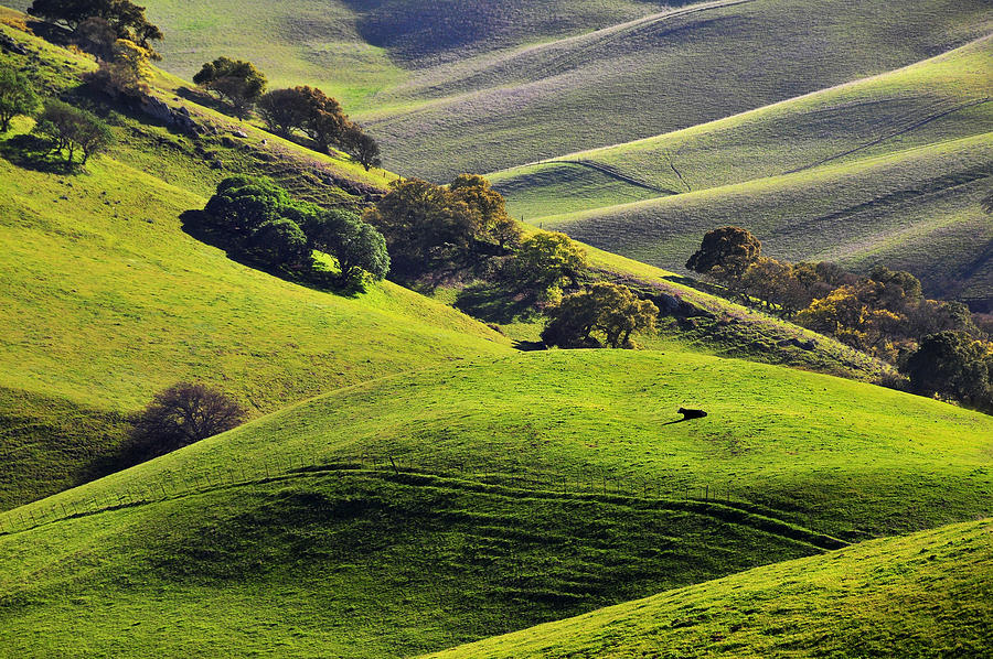 Green rolling hills of central California #2 Photograph by Mitch Diamond