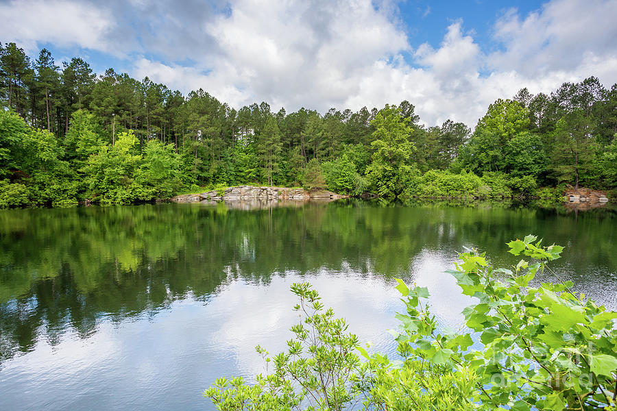 Grovetown Trails at Euchee Creek Columbia County GA Photograph by The