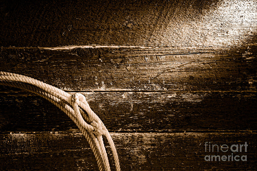 Grunge Lasso - Sepia Photograph by Olivier Le Queinec