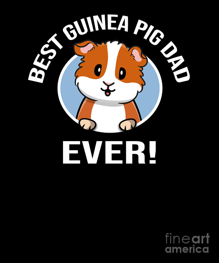 Guinea Pig Dad Digital Art by Kristen Morey - Pixels