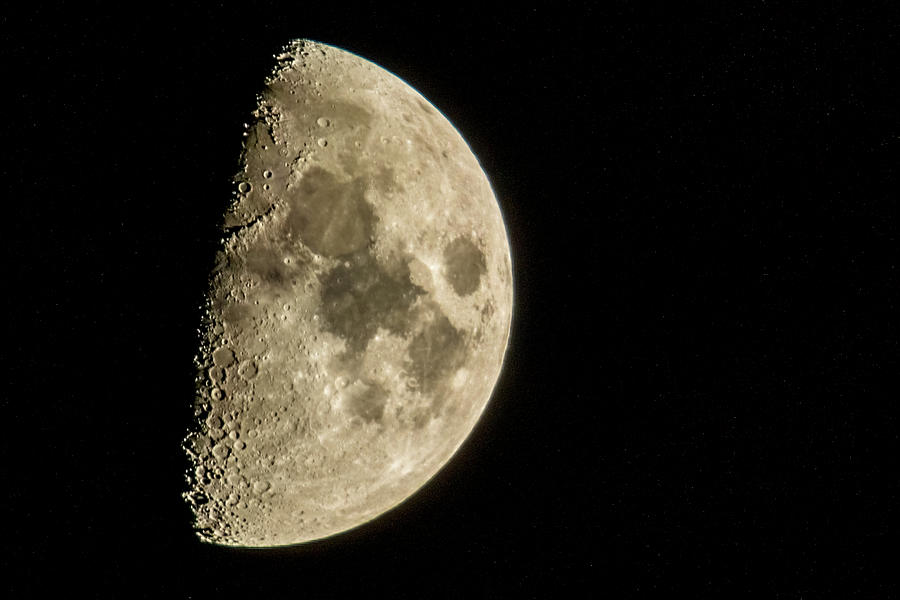 Half Moon In The Night Sky In December #2 Photograph by Alex Grichenko