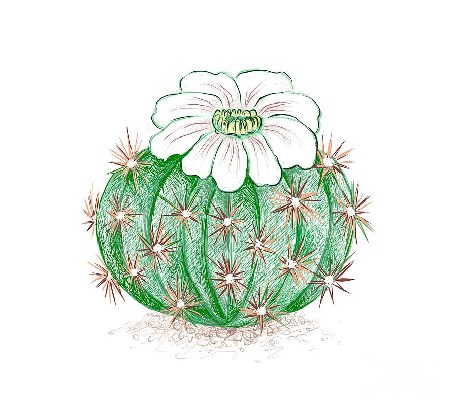Succulents composition with Cactus and pink flower, watercolor, cool  succulent plant drawing
