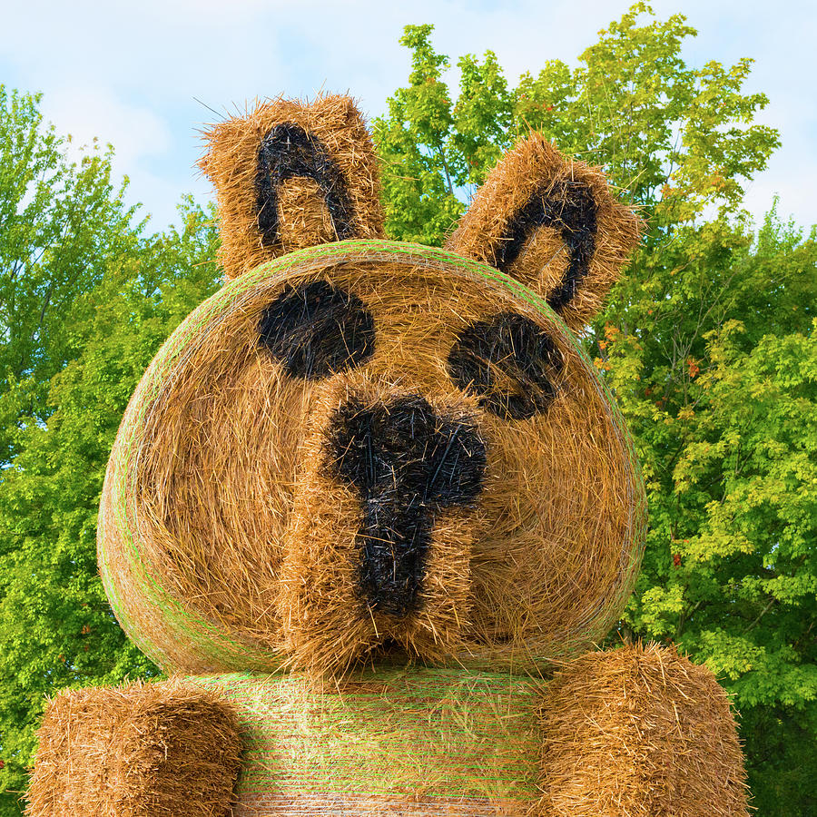 Hay Bale Bear-Fishers Indiana Photograph by William Reagan - Fine Art ...