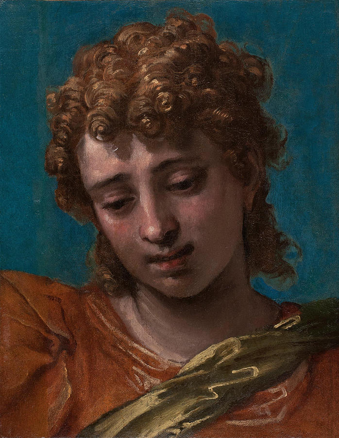 Veronese Painting - Head of Saint Michael  from the Petrobelli Altarpiece  #2 by Paolo Veronese