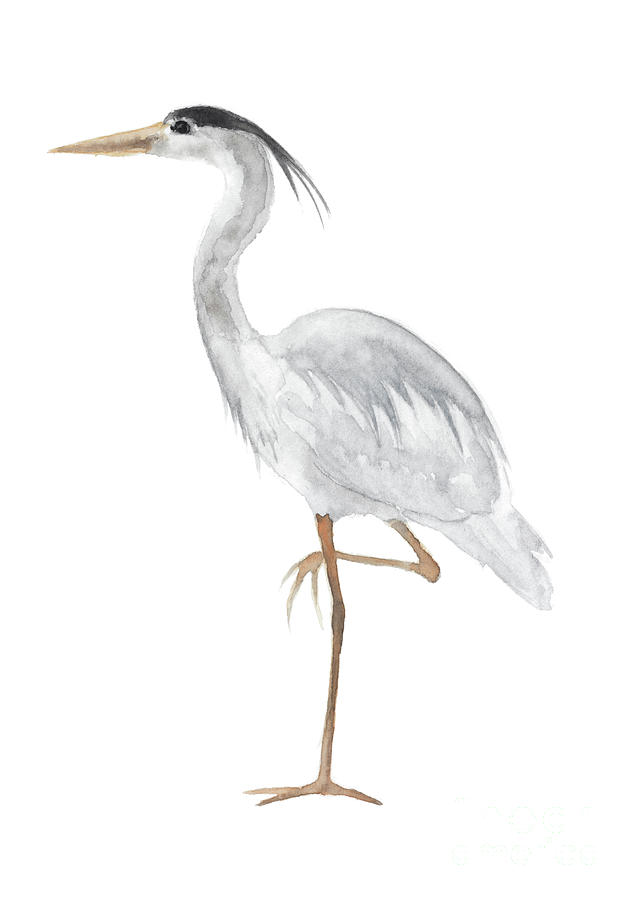 Heron Gray Painting Painting by Joanna Szmerdt - Fine Art America